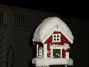 Putnu mājiņa, 2012.13.01