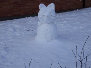 Sniega kaķis.  27.01.2012.