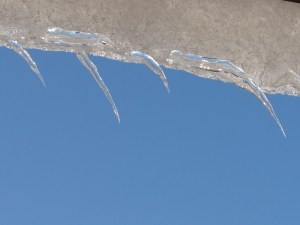 Lāstekas 2012.04.02