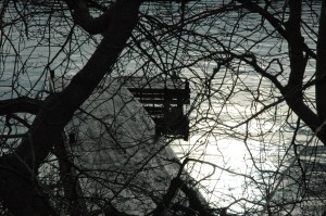 Krēsla martā 2012. Foto: Sandra Veinberga