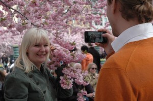 Fotografēties "pie ķiršiem" vēlas visi