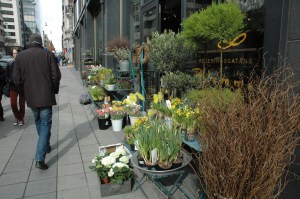 Pavasaris būs! Vakar Stokholmā nekas neliecināja par sniega tuvošanos!