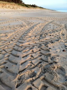 Vandalizētās Ziemupes kāpas. Armija vai vietējie?