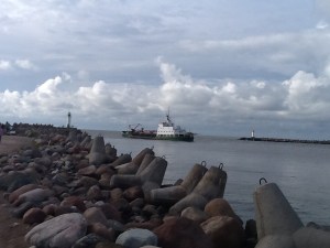 Dzelme pie dienvidu mola