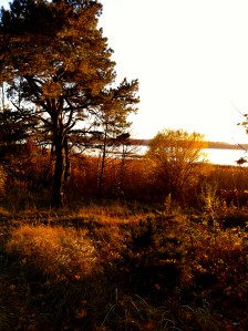 Jugla 28. oktobris 2012