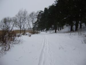 Ziemassvētku taka, 2012. gada 24. decembrī