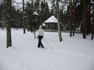 Somijas ziemas kara partizānis slēpo lēni