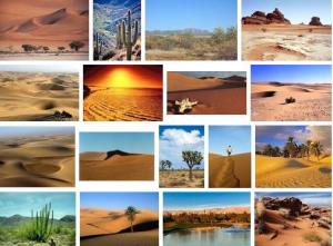 Tuksnesis. Attēli no Google