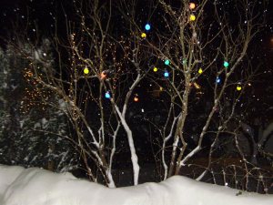 Priecīgus svētkus!