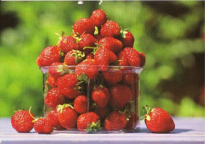 Zviedru zemenes, fragaria