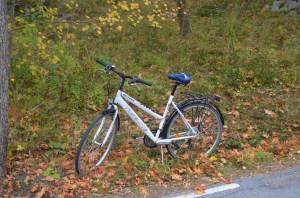 Vientuļš velosipēds