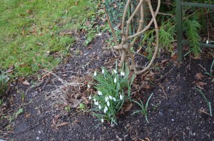 Baltie zvaniņi 2014, foto Sandra Veinberga