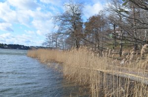 Jūras un smilgas, foto Sandra Veinberga