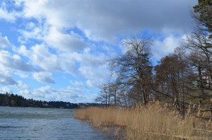 Jūriņa šodien, foto Sandra Veinberga