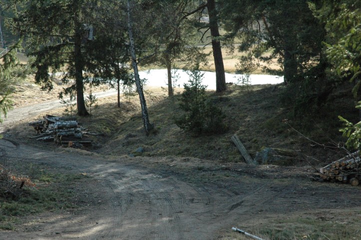 Vai mežs ir tikai malka?