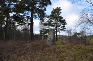 Rūnakmens, foto Sandra Veinberga