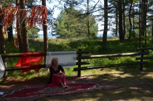 Deju pauze Žocenē 2015